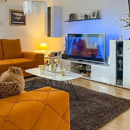 Pet Friendly In Holiday home *