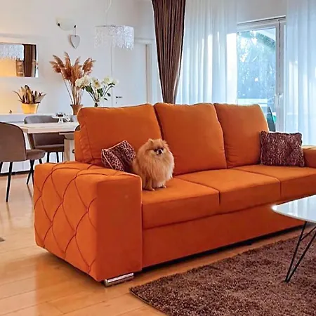 Pet Friendly In Lozovac